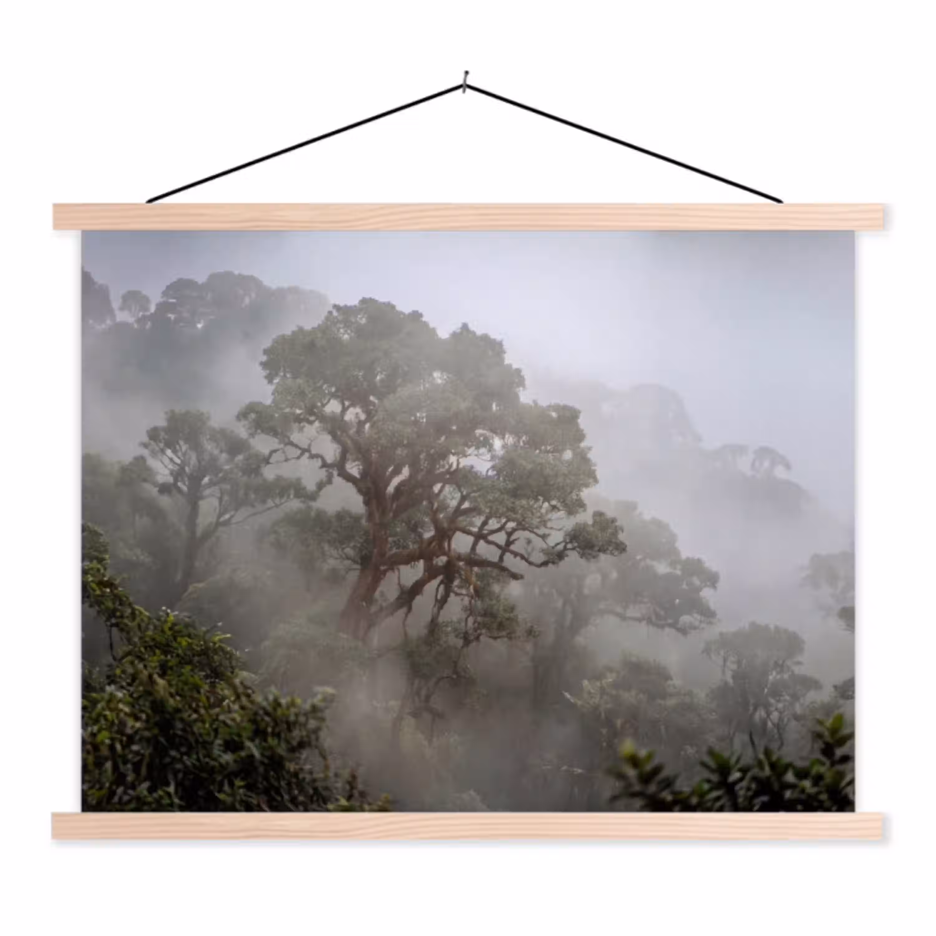 Boom - Mistig - Bos - Groen - Natuur textielposter latten blank klein -3d