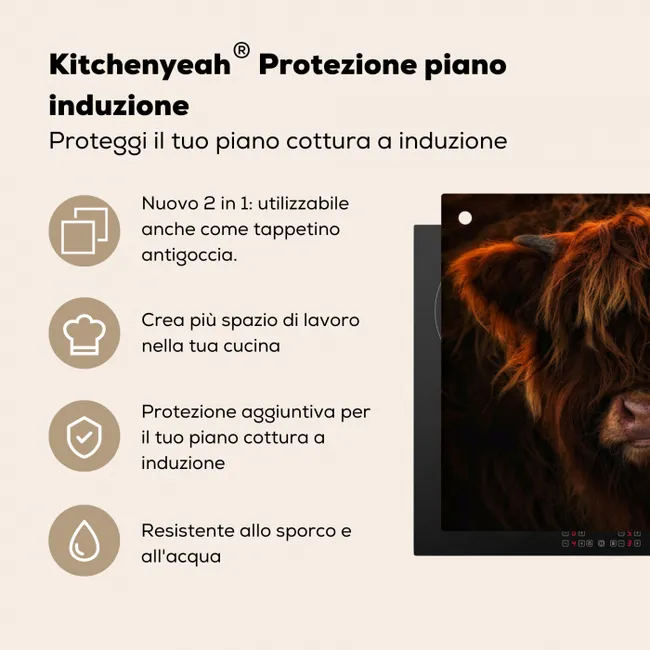 Vurige Manen Inductie beschermer vinyl 3mm middel -zzzzzzusp-haakje_IT