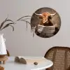 Schotse hooglander - Krant - Toilet Wandcirkel behangsticker klein -sfeer3
