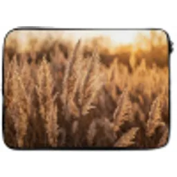 Rietpluimen - Gras - Zonsondergang - Goud - Serene laptophoes neopreen klein -zkaufland3dotto