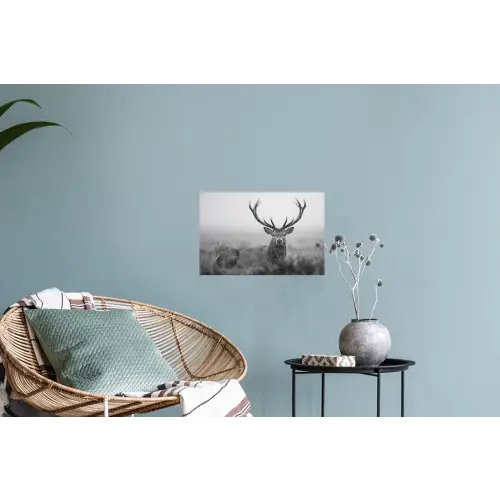 Hert - Mistig - Zwart - Wit Muursticker klein -plant