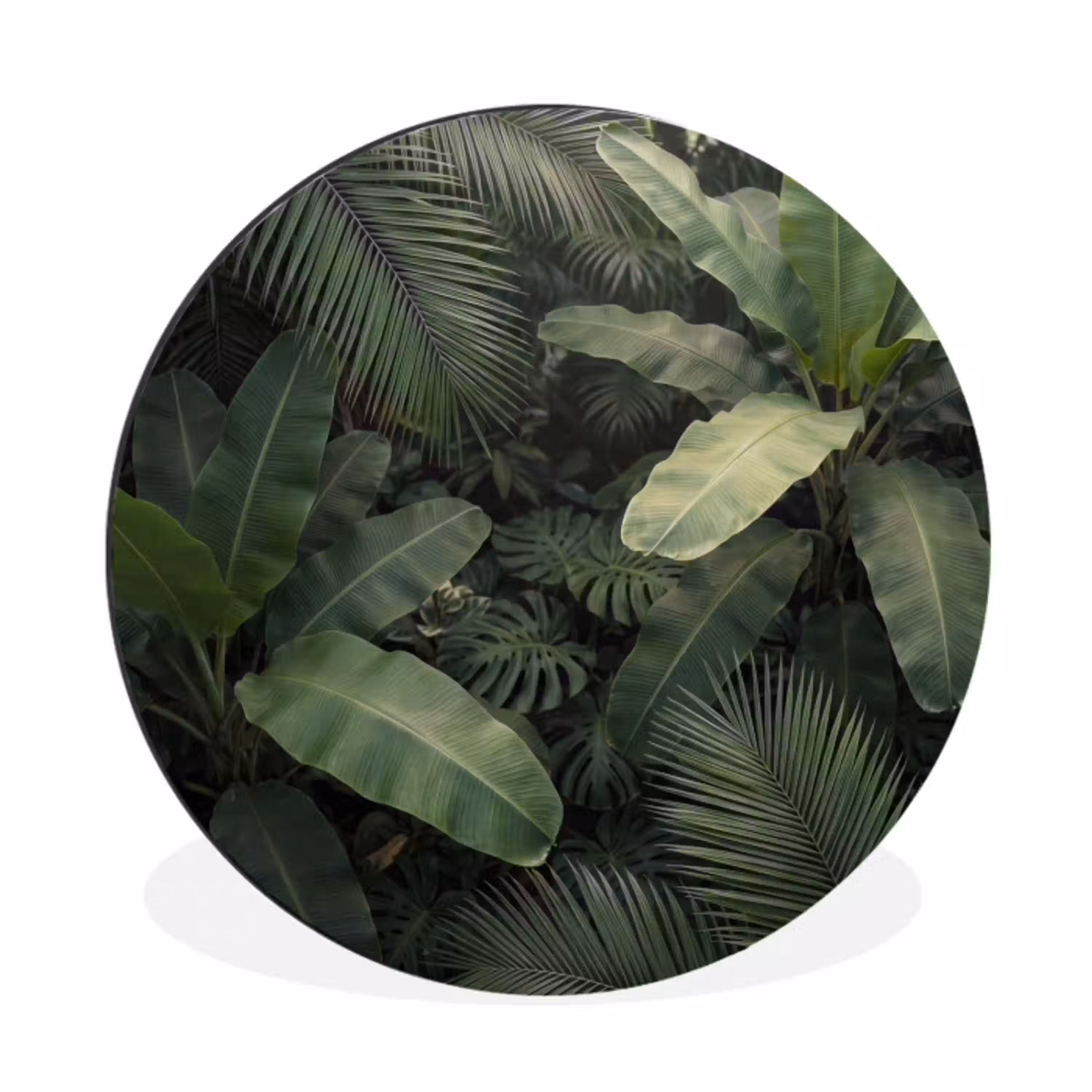 Bladeren - Groen - Tropisch - Natuur Wandcirkel aluminium klein -3d