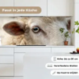 Schaap - Oog - Wit keuken achterwand 2 middel -sfeer4_DE