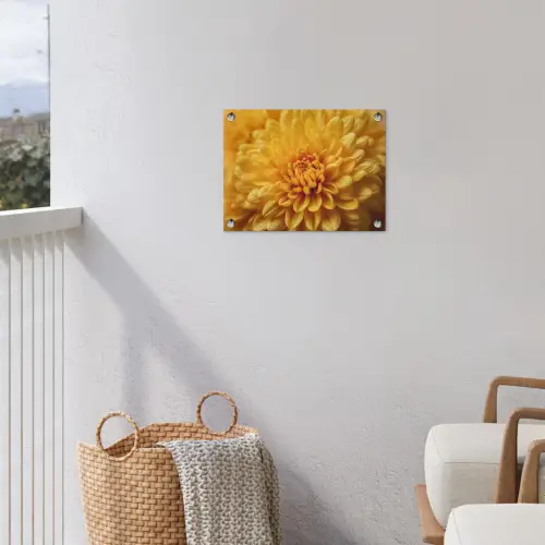 Geel - Chrysant - Zachtheid tuinposter los doek klein -sfeer8