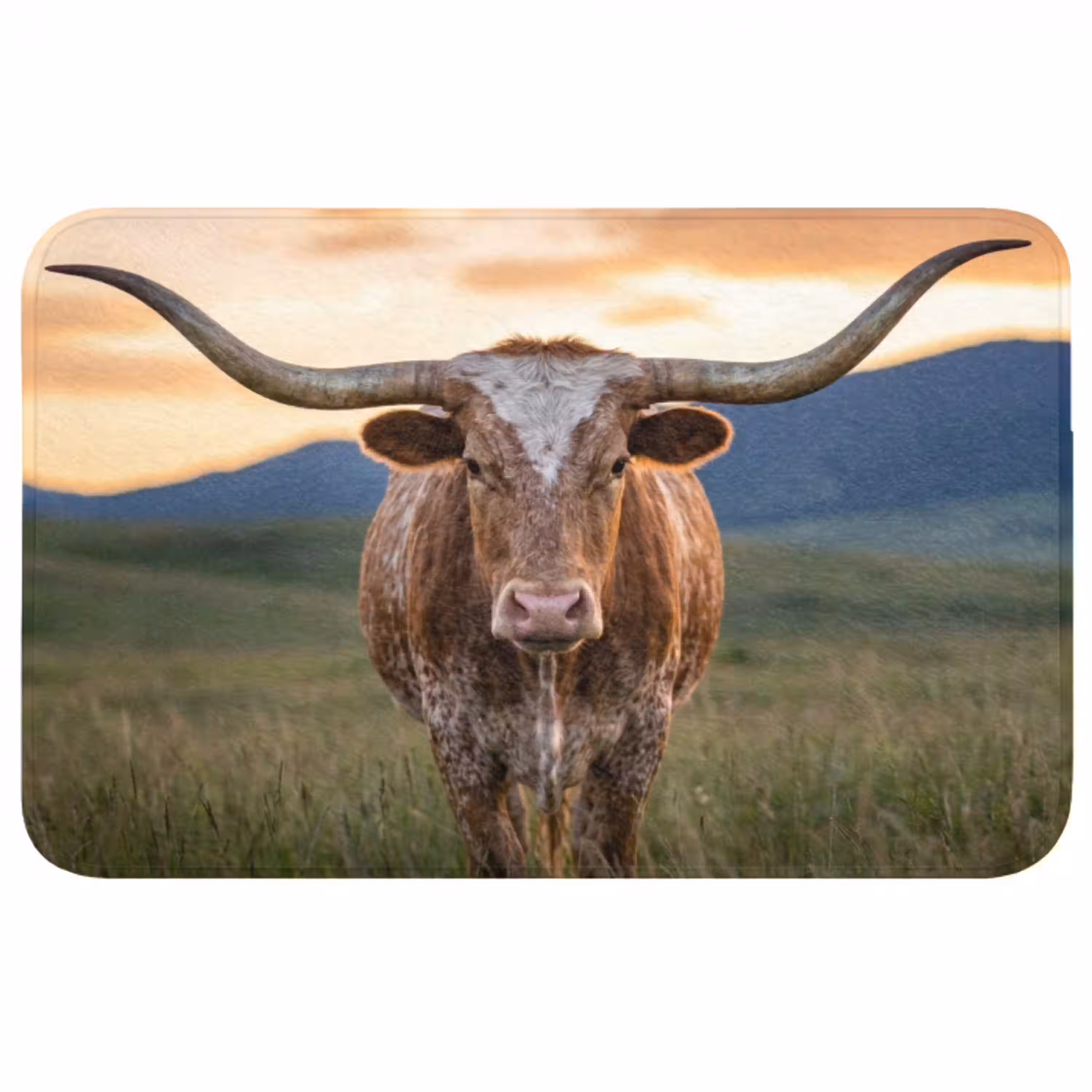 Longhorn - Landschap - Zonsondergang WCmat middel -3d