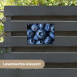 Bessen - Blauw - Fruit tuinposter los doek klein -sfeer3