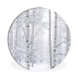 Berkenbomen - Sneeuw - Winter - Bos - Wit Wandcirkel aluminium klein -3d