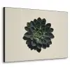 Rozet - Cirkelvormig - Donkergroen Textielframe zwart klein -3d
