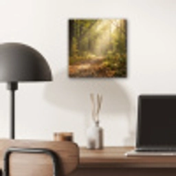 Zonlicht - Bospad - Bomen aluminium wit klein -sfeer5
