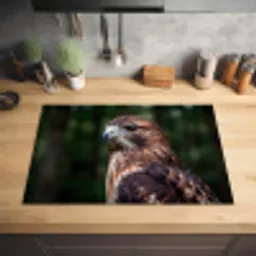 Buizerd - Roofvogel - Natuur - Bruin Inductie beschermer vinyl 3mm klein -sfeer5
