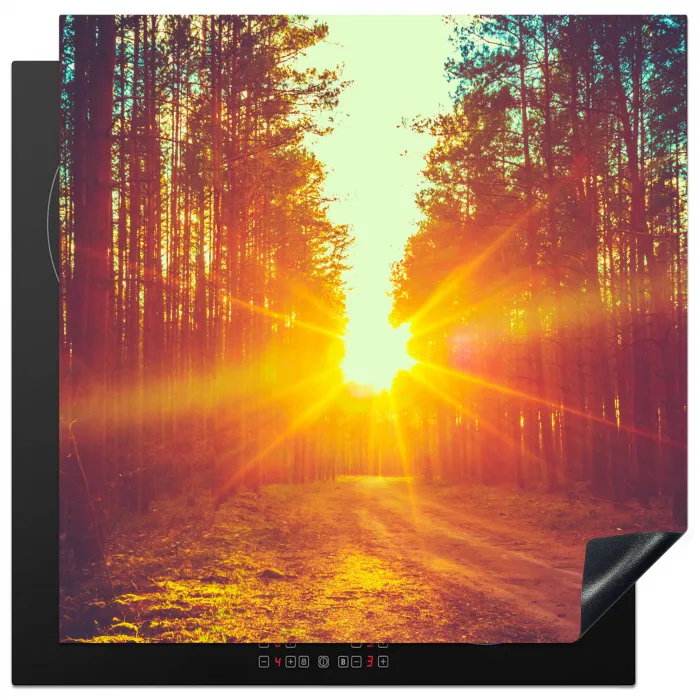 Zonsondergang - Bomen - Bos - Natuur Inductie beschermer vinyl 3mm middel -3d