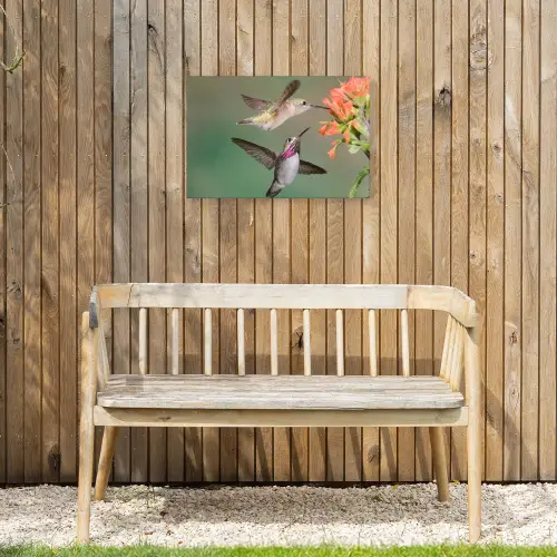 Kolibries bij Bloemen Tuinposter op houten frame 2 cm dik klein -sfeer4