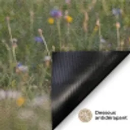 Ooienvaar - Bloemen - Weide - Kleurrijk Deurmat klein -antislip_FR