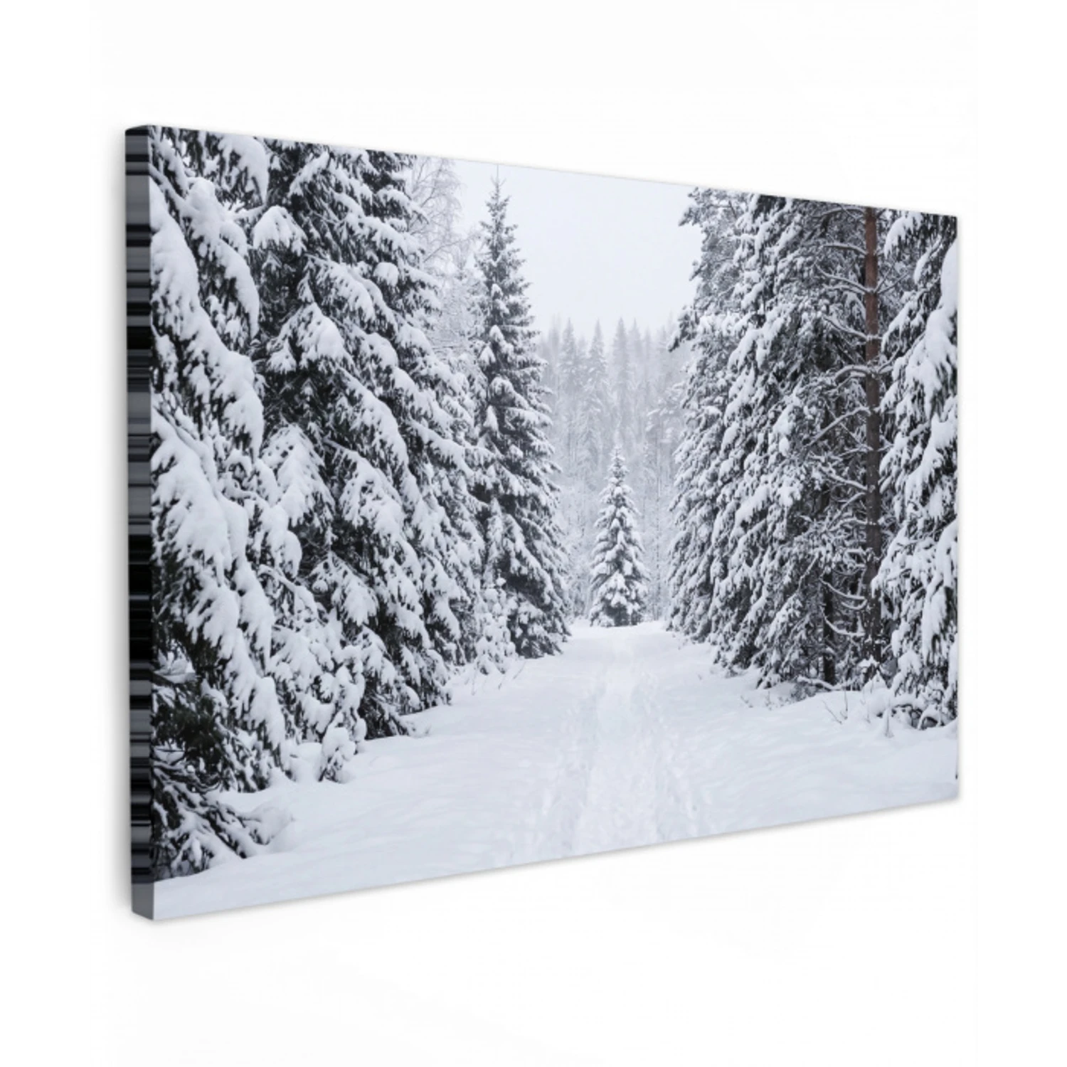 Bos - Winter - Sneeuw - Pad - Natuur canvas 2cm klein -z3d