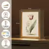 Tulp - Minimalistisch - Beige Light Box met kabel (Tafellamp) klein -USP_NL