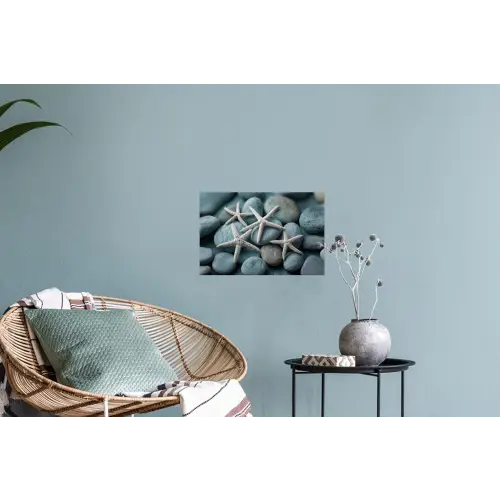 Zeesterren - Stenen - Wit Muursticker klein -plant