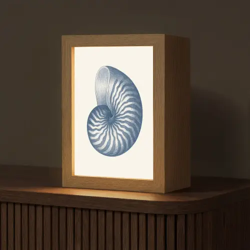 Blauw - Schelp - Spiraal Light Box met kabel (Tafellamp) klein -z3d_website