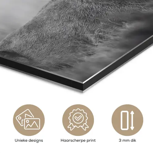 Hert - Mistig - Zwart - Wit aluminium wit klein -closeup_NL