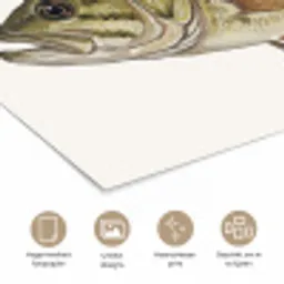 Vissen - Natuur - Vintage poster papier klein -closeup_NL