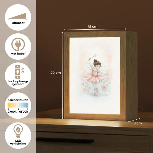 Ballerina - Fee - Roze Light Box met kabel klein -USP_NL