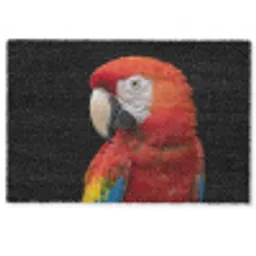 Ara - Portret - Rood Deurmat klein -zkaufland3d