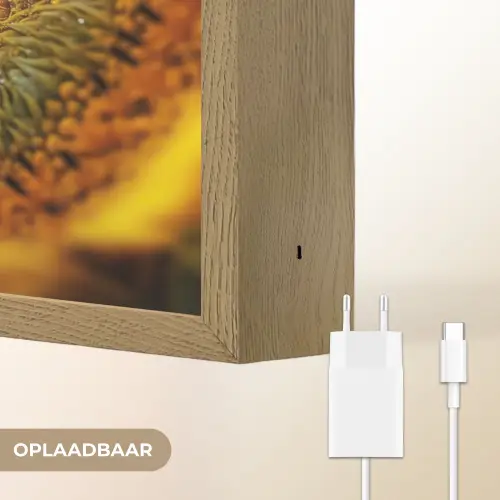 Zonnebloem - Dauwdruppels - Geel - Zonlicht Light Box met batterij (Wandlamp) middel -USP_websiteoplaadbaarNL
