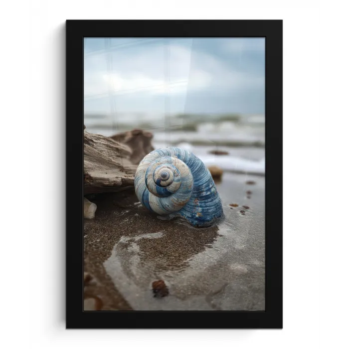 Schelp - Strand - Blauw - Zee fotolijst zwart zonder passe partout klein -3d