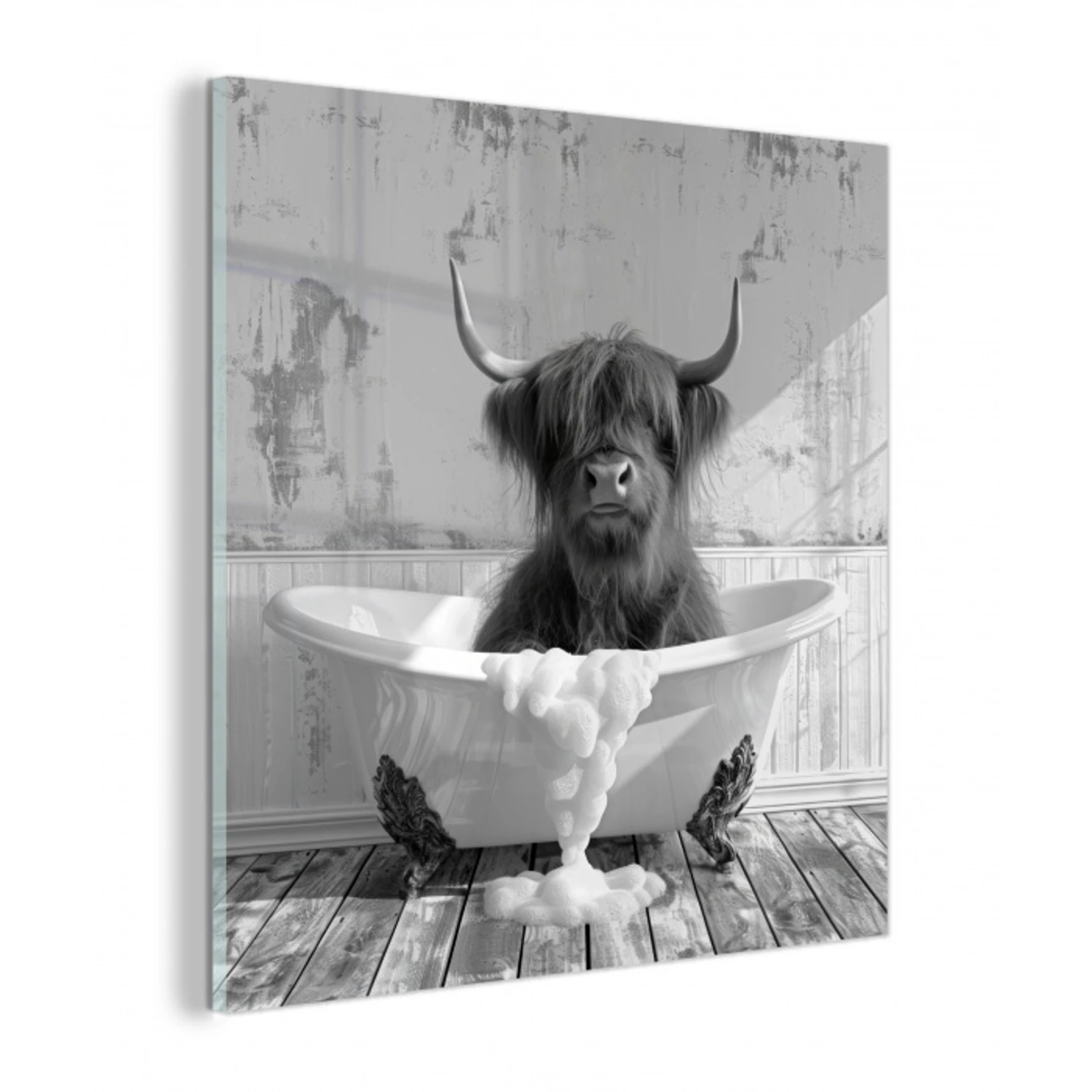 Schotse Hooglander - Dier - Badkuip - Zwart - Wit plexiglas 5mm klein -z3d