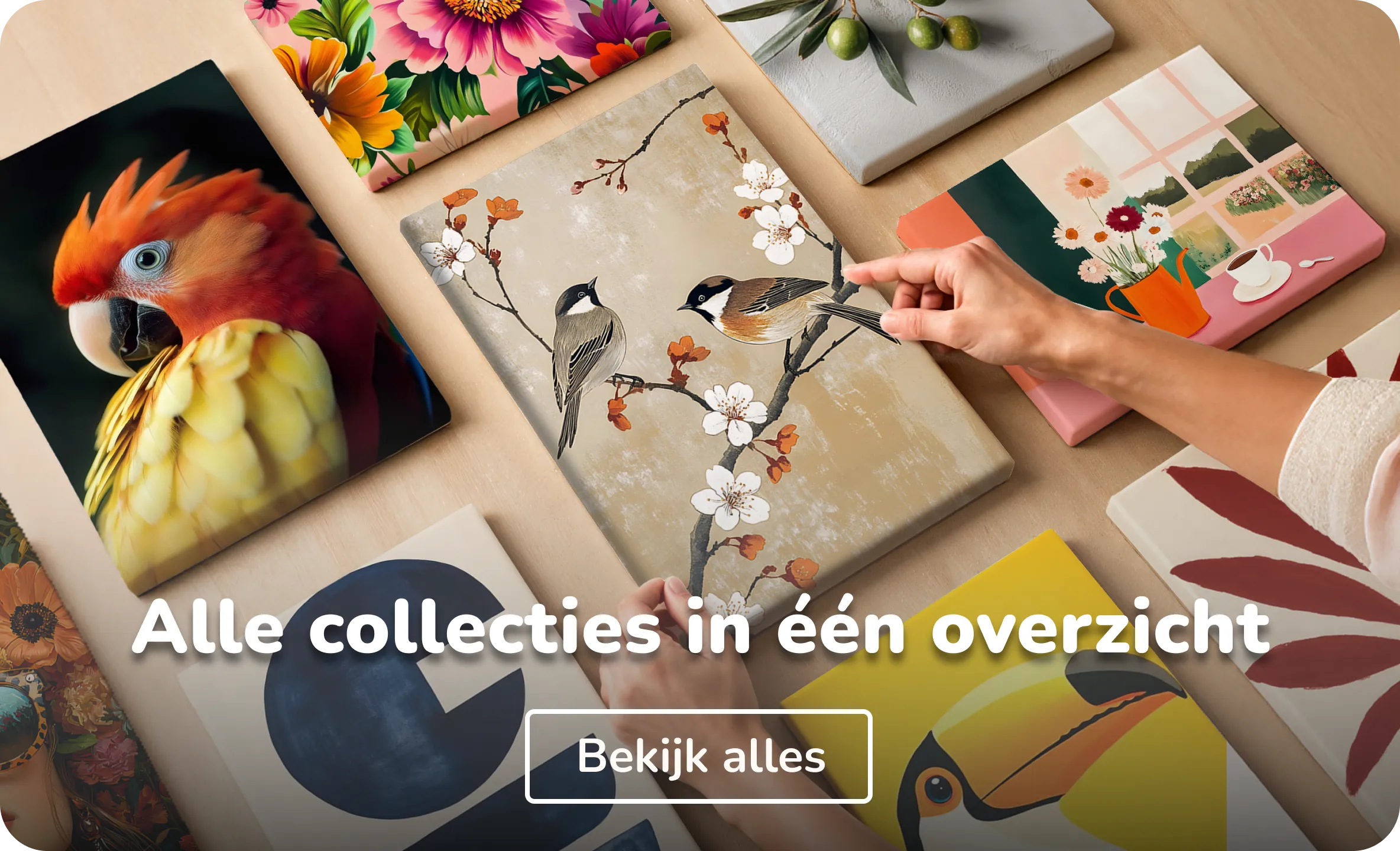 Canvas schilderijen collecties