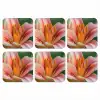 Lelie - Close up - Lichtroze onderzetter kurk middel -3d