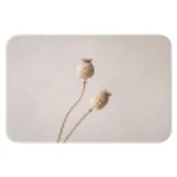 Papaverbollen - Droogbloemen - Minimalistisch - Beige - Rustig Badmat klein -3d