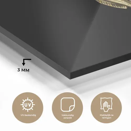 Goud - Vis - Haak - Zwart plexiglas 5mm klein -sfeer2