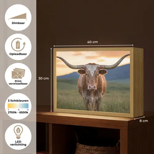 Longhorn - Landschap - Zonsondergang Light Box met batterij (Wandlamp) middel -USP_websiteoverzichtNL