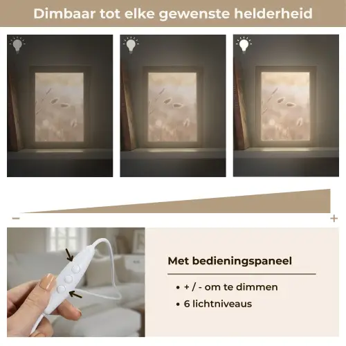 Hazestaartgras - Graanharen - Zonlicht Light Box met kabel (Tafellamp) klein -USP_dimbaarNL