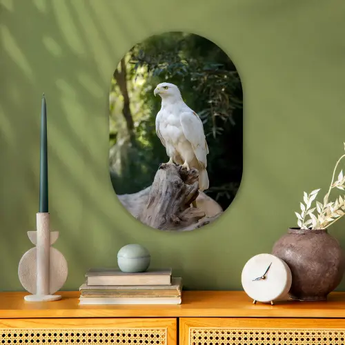 Arend - Hout - Wit - Planten Wandcirkel Ovaal Forex klein -sfeer2