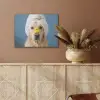 Hond - Badeend - Geel PET vilt klein -sfeer4
