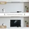 Raaf - Vogels - Zwart keuken achterwand spatscherm klein -voor_na_NL
