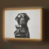 Hond - Zwart - Wijnglas - Zonnebril Light Box met batterij (Wandlamp) middel -z3d_website