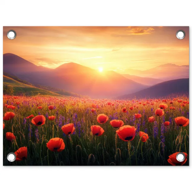Landschap - Zonsondergang - Bloemenveld tuinposter los doek klein -3d