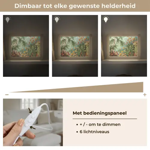 Oude meesters - Kunst - Muscinae - Haeckel Light Box met kabel (Tafellamp) klein -USP_dimbaarNL