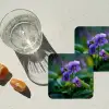 Viooltjes - Paars - Bloem - Bladeren onderzetter kurk middel -sfeer4