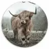 Schotse Hooglander - Bos - Mist - Koe - Dieren - Natuur Wandcirkel kunststof plaat 5mm dik klein -3d