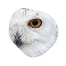 Sneeuwuil - Oog - Wildlife - Wit Wandcirkel Organisch Aluminium middel -3d