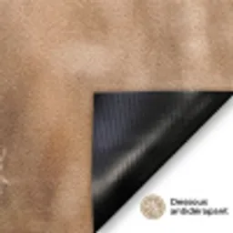 Schermbloem - Droogbloem - Winter - Beige - Minimalistisch Deurmat klein -antislip_FR