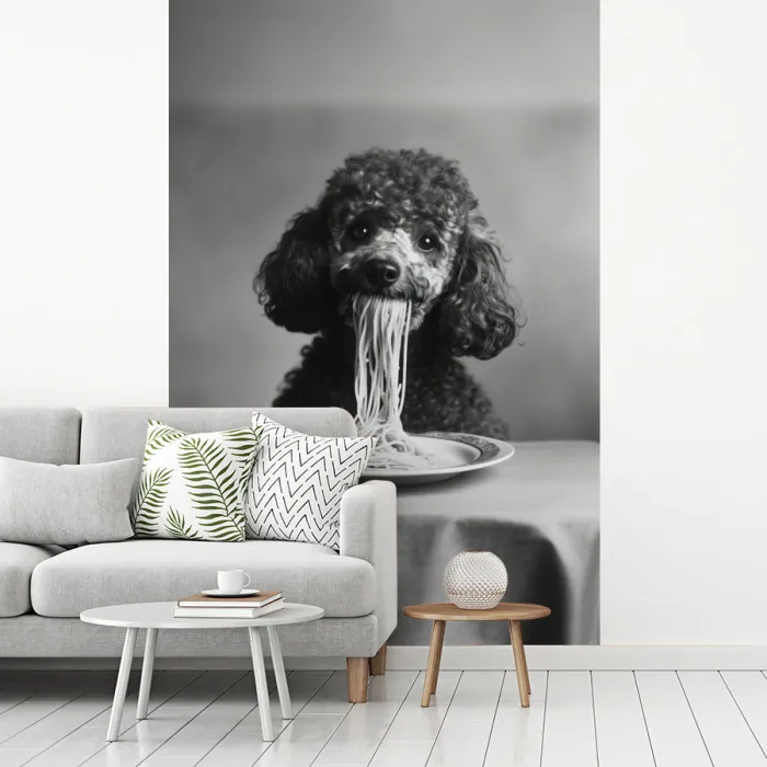 Poedel - Hond - Zwart - Wit - Schattig - Pasta fotobehang vinyl groot -woonkamer