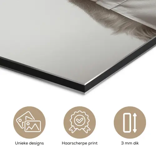 Hond - Wit - Kok aluminium wit klein -closeup_NL