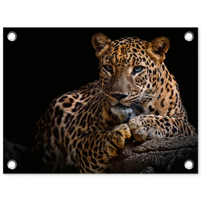 Luipaard in rust tuinposter los doek klein -3d