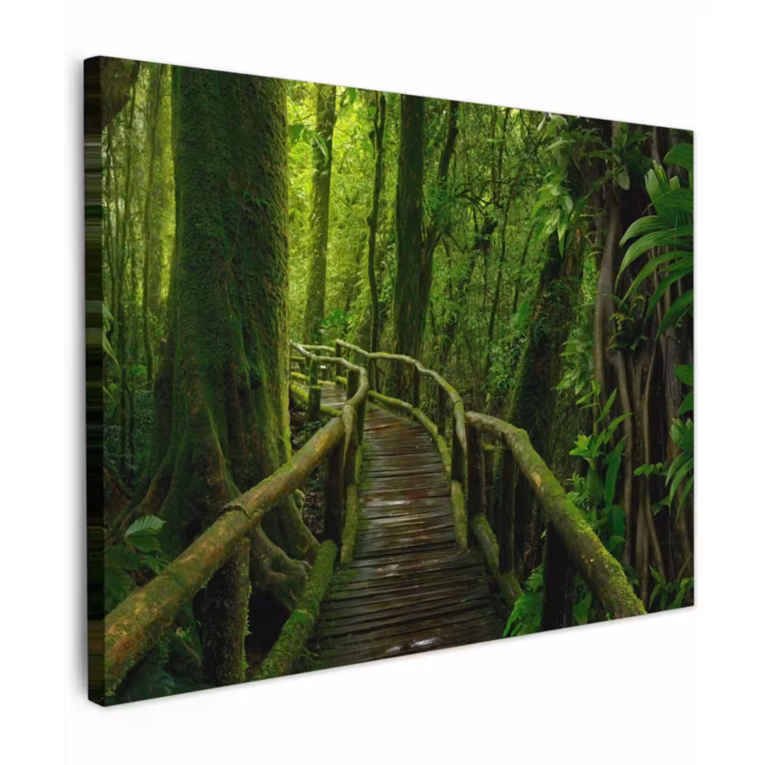 Canvas schilderij - Jungle - Brug - Mos - Natuur - Tropisch