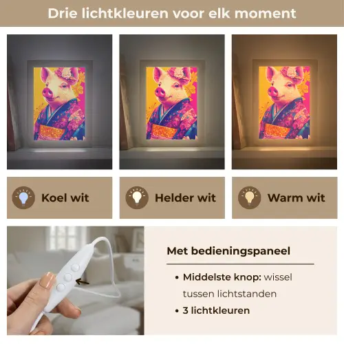 Varken - Bloemkroon - Kimono - Abstract Light Box met kabel (Tafellamp) klein -USP_lichtkleurNL