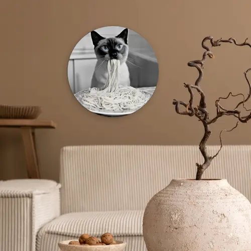 Kat - Siamees - Zwart Wit - Schattig - Dieren Wandcirkel kunststof plaat 5mm dik klein -sfeer1